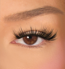 November Lashes